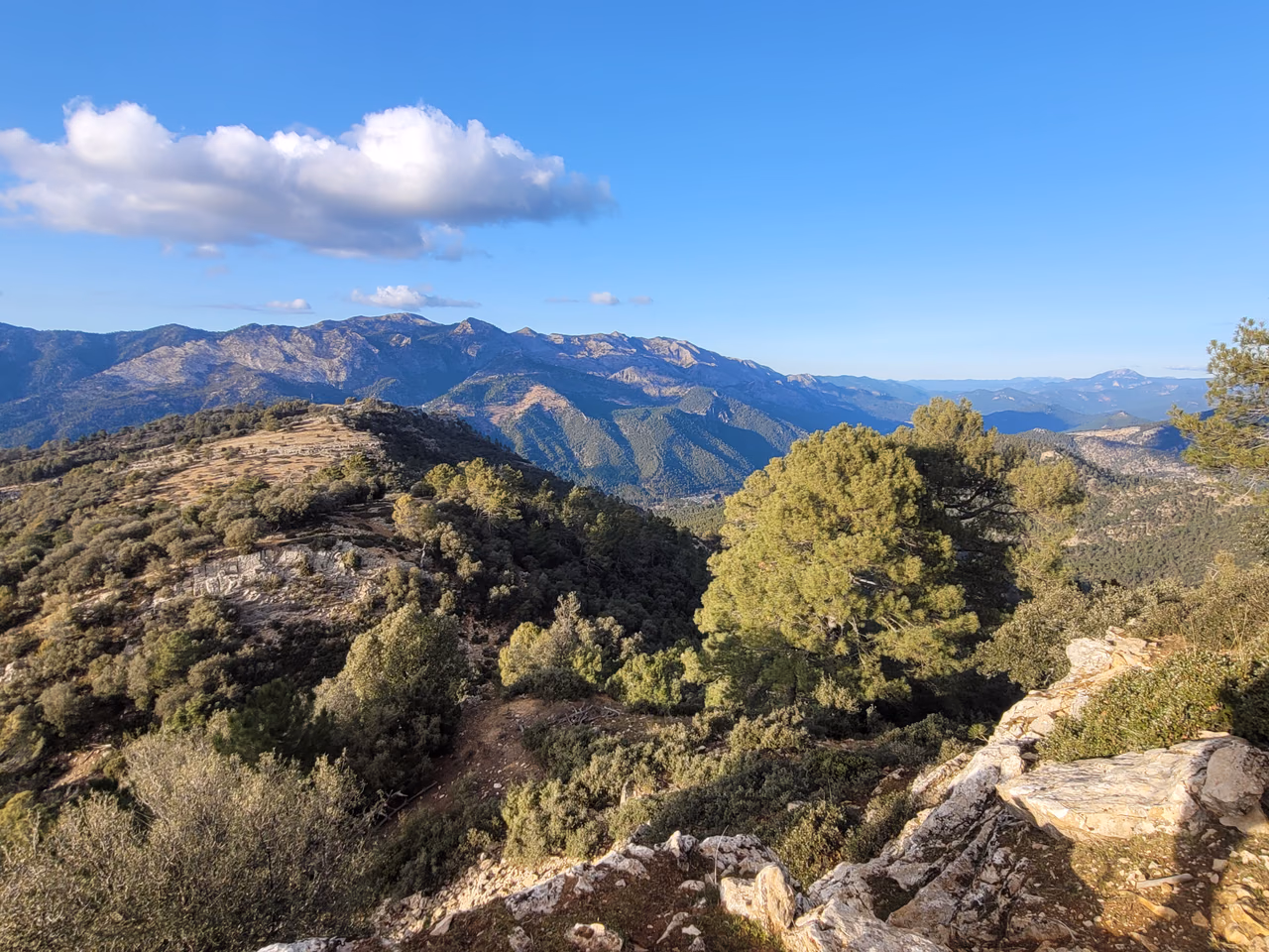 Paisaje forestal montañoso bajo un cielo azul