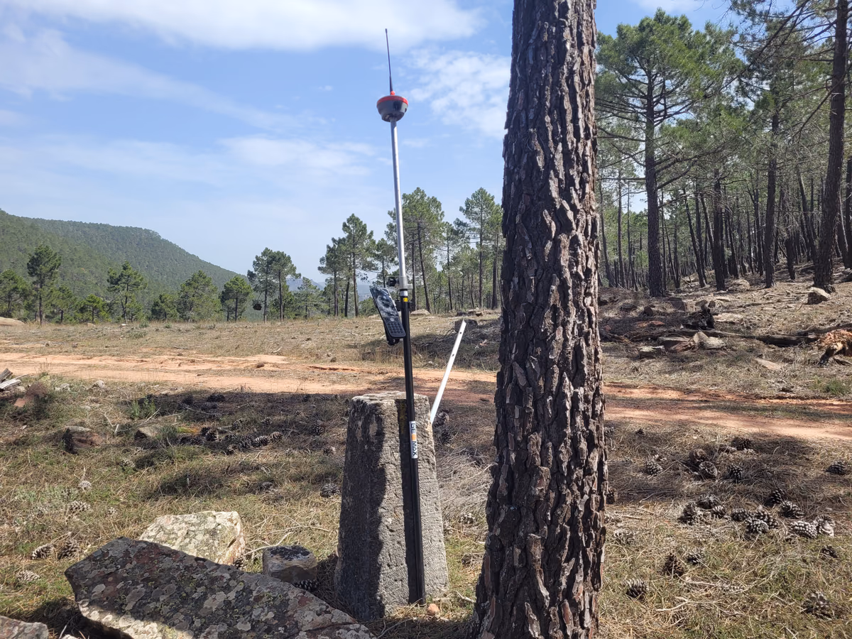 Equipo GNSS de precisión situado junto a un mojón en un pinar
